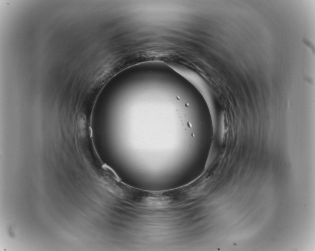 X0000099430556200805091252