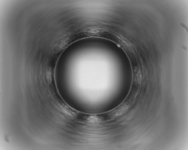 X0000099430562200805091252