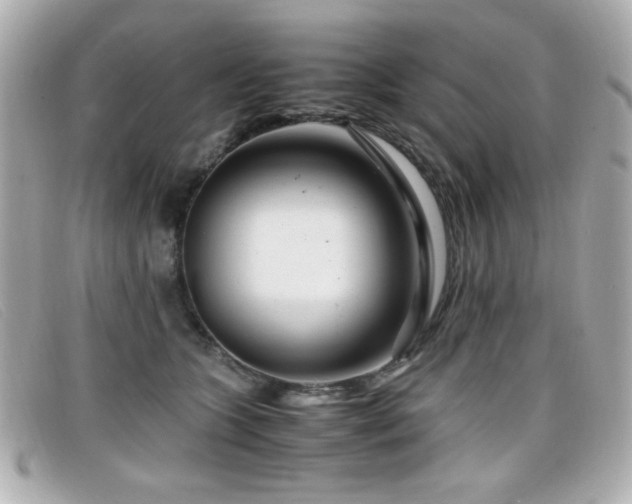 X0000099430563200805091252