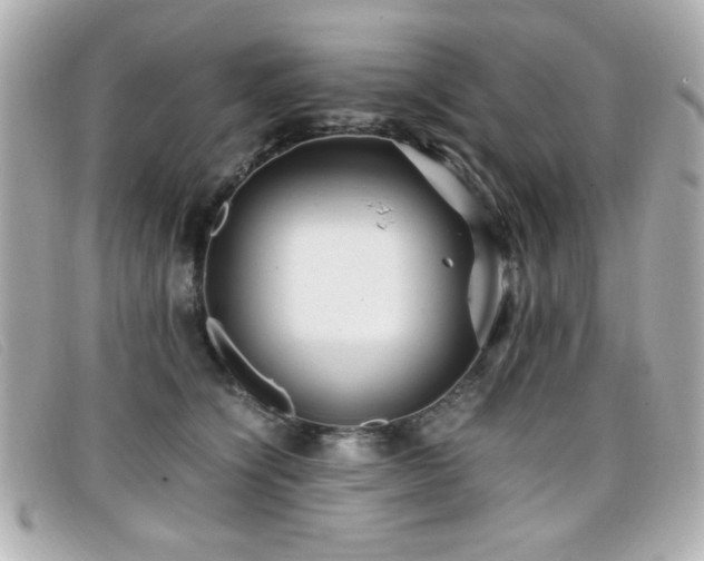 X0000099430564200805091252