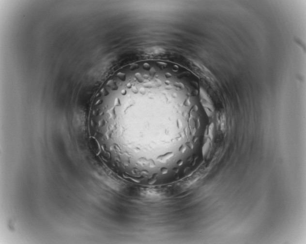 X0000099430565200805091252