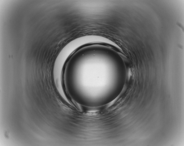 X0000099430570200805091253