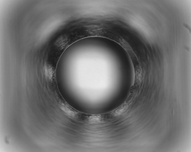 X0000099430574200805091253