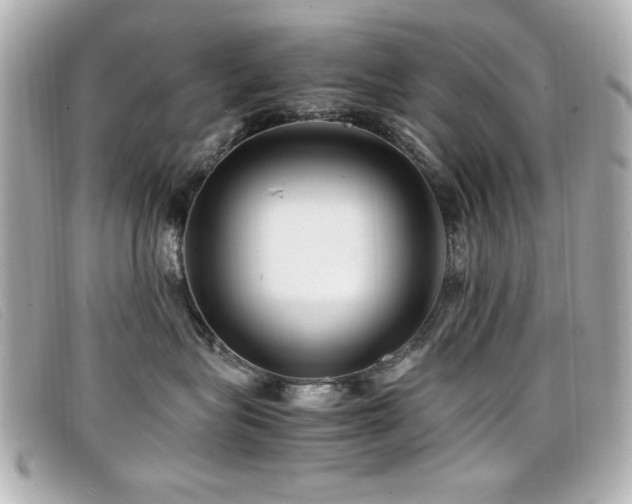 X0000099430575200805091253