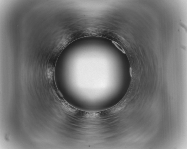 X0000099430576200805091253