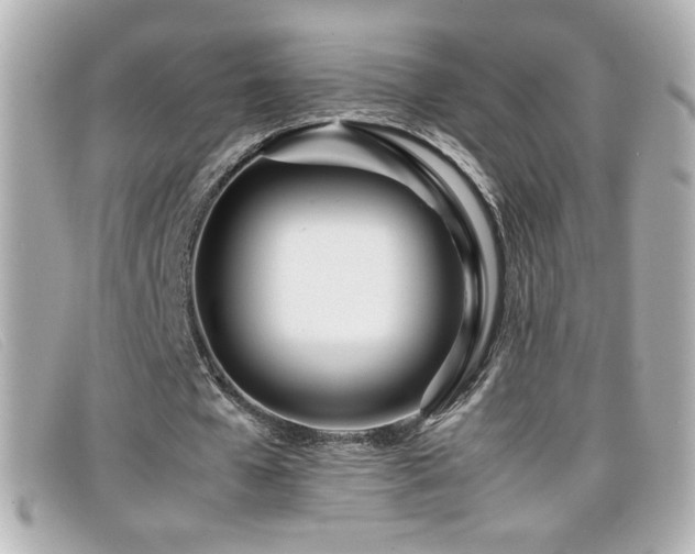 X0000099430577200805091252
