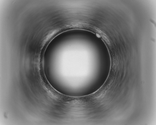 X0000099430578200805091252