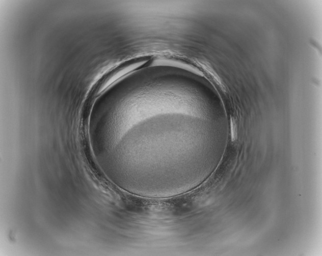 X0000099430579200805091252