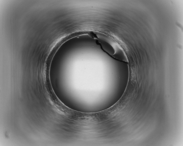 X0000099430580200805091252