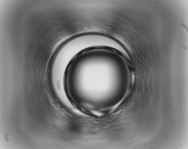 X0000099430583200805091252