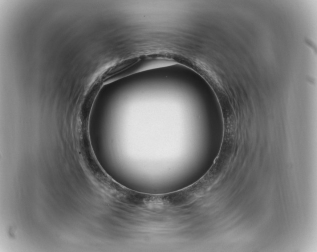 X0000099430587200805091252