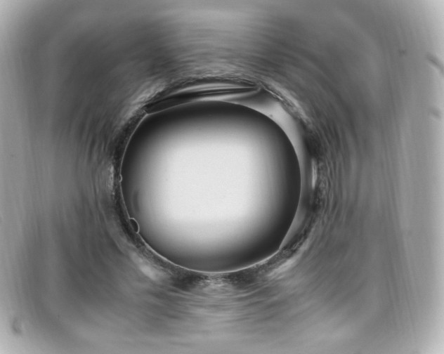 X0000099430589200805091252