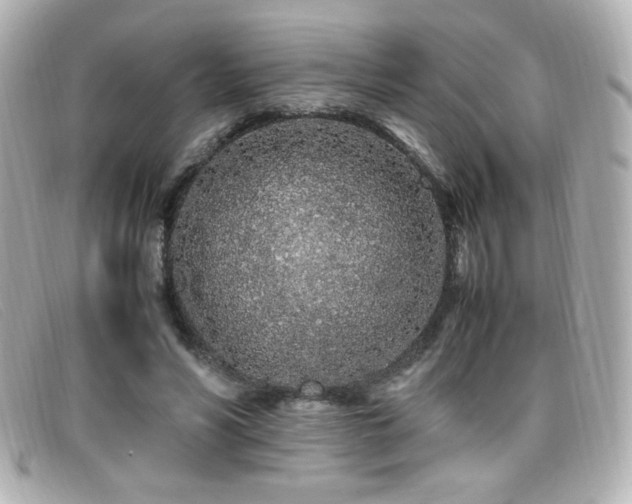 X0000099430590200805091252