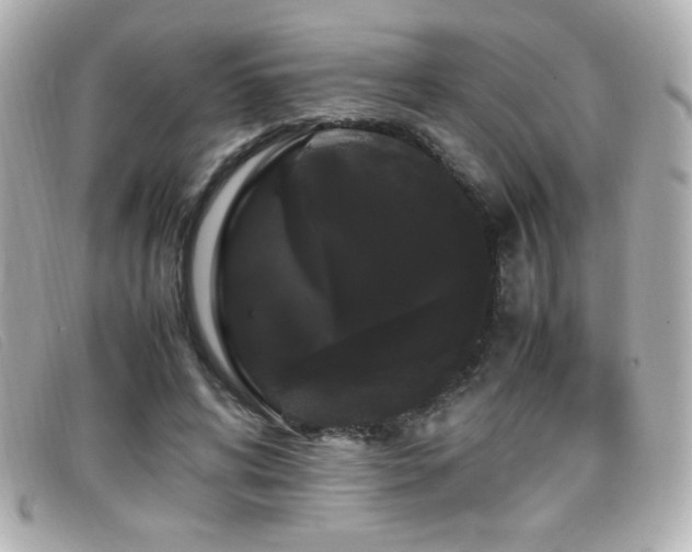 X0000099430592200805091252