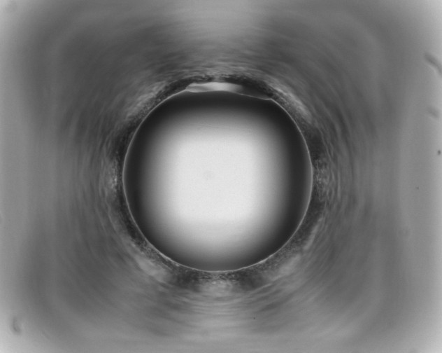X0000099430593200805091252