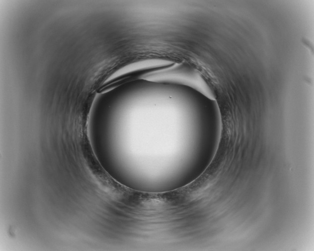 X0000099430594200805091252