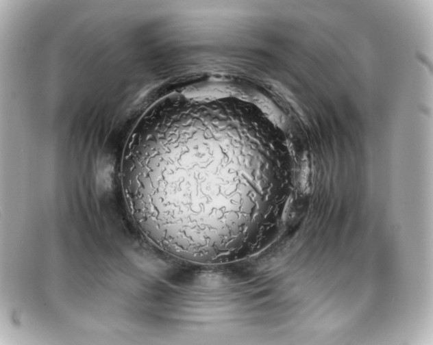 X0000099430596200805091252
