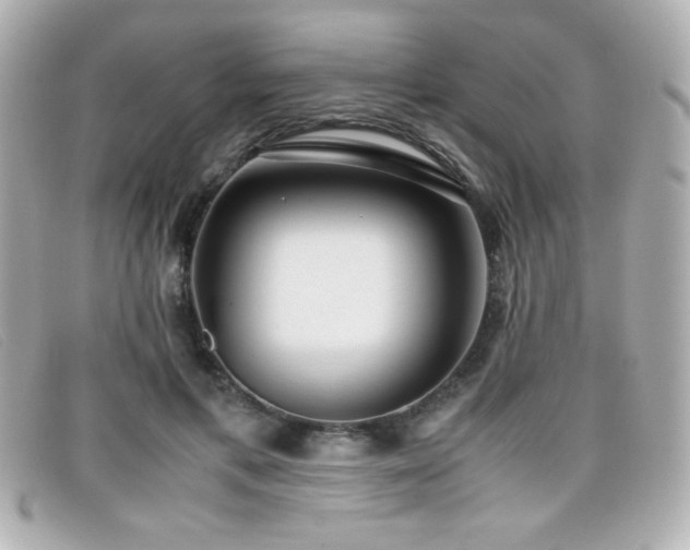 X0000099430597200805091252