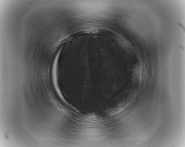 X0000099430600200805091252
