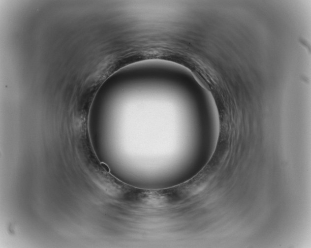 X0000099430601200805091252