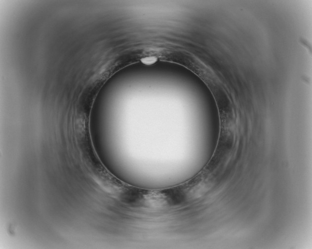 X0000099430603200805091252