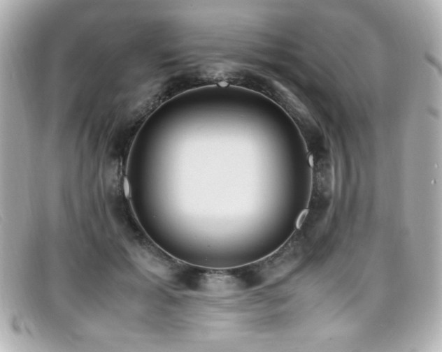 X0000099430605200805091252