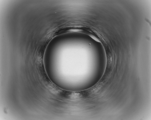 X0000099430609200805091252