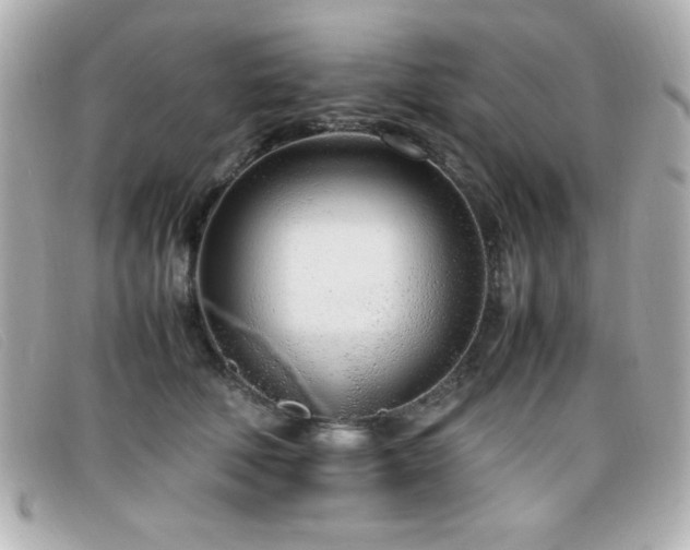 X0000099430610200805091252