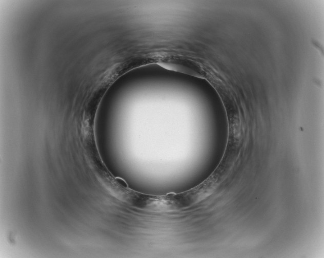 X0000099430611200805091251