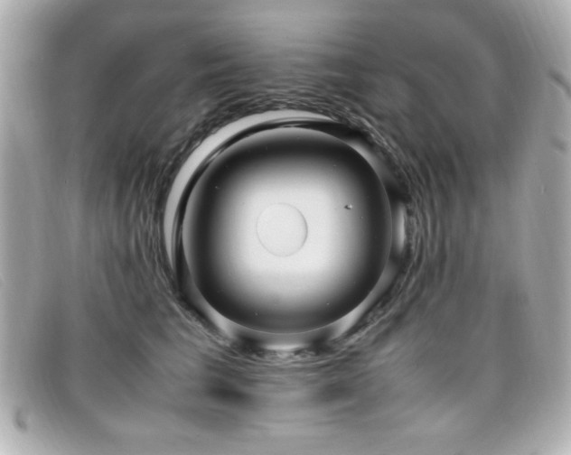 X0000099430613200805091251