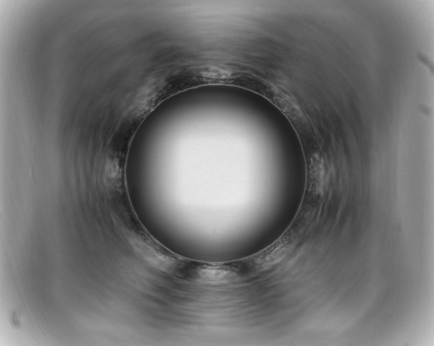 X0000099430614200805091251