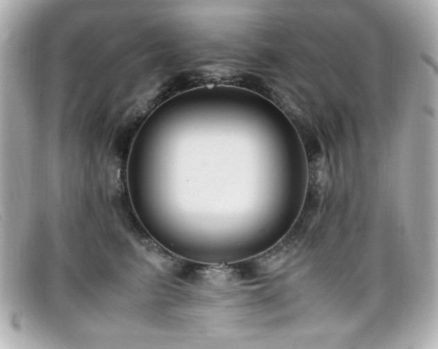 X0000099430615200805091251