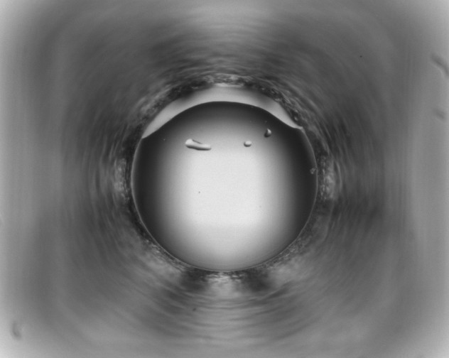 X0000099430616200805091251
