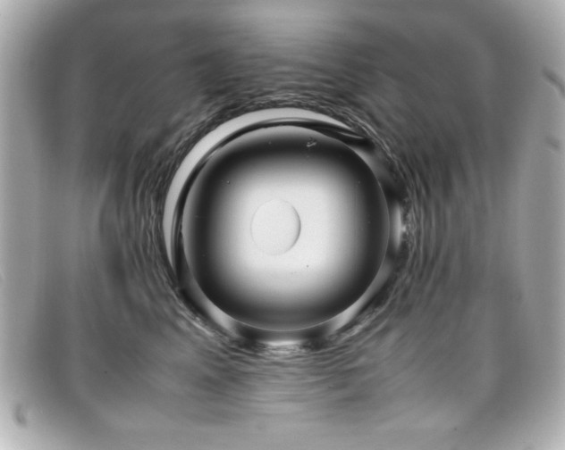 X0000099430617200805091251