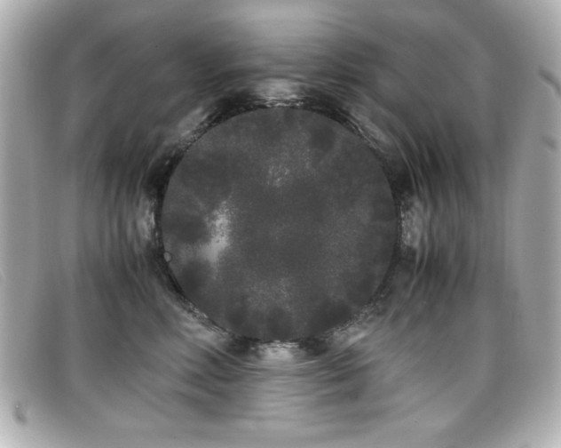 X0000099430618200805091251