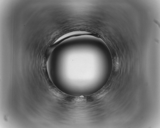 X0000099430619200805091251