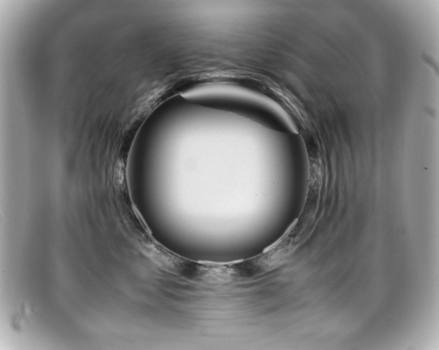 X0000099430621200805091251