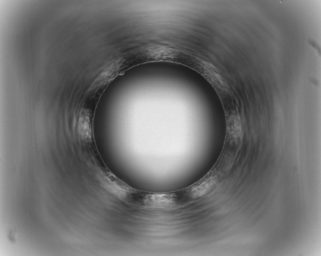 X0000099430622200805091251