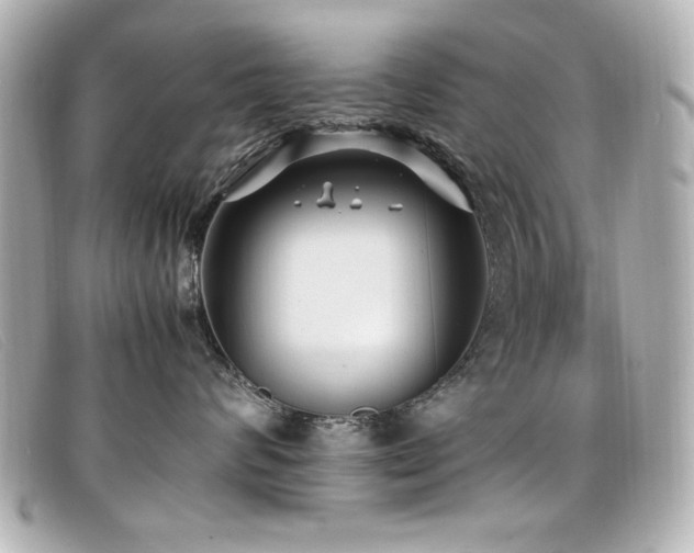 X0000099430624200805091251