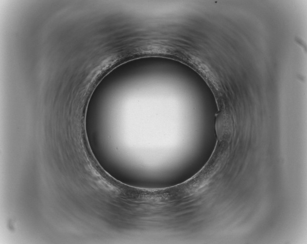 X0000099430625200805091251