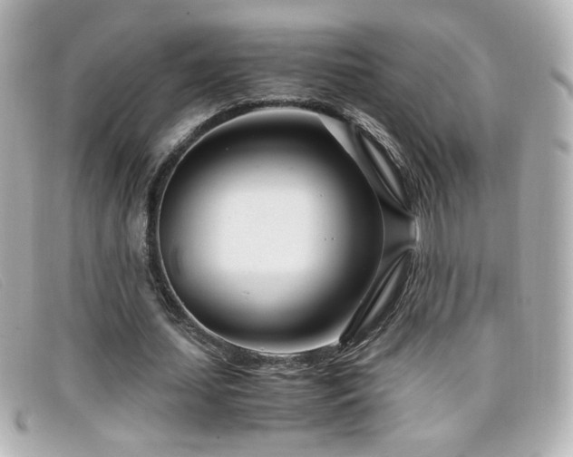 X0000099430627200805091251