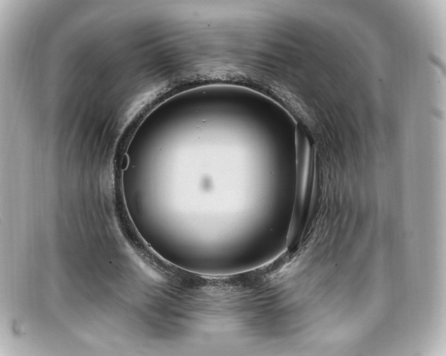 X0000099430630200805091251