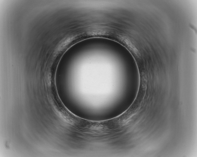 X0000099430631200805091251