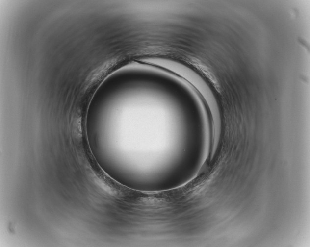 X0000099430633200805091251