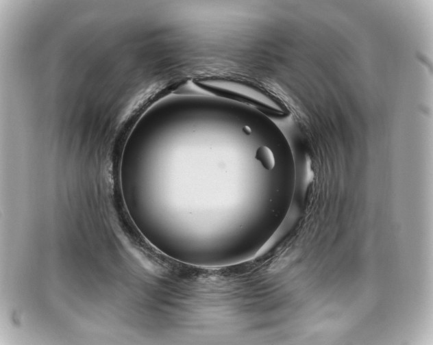 X0000099430634200805091251