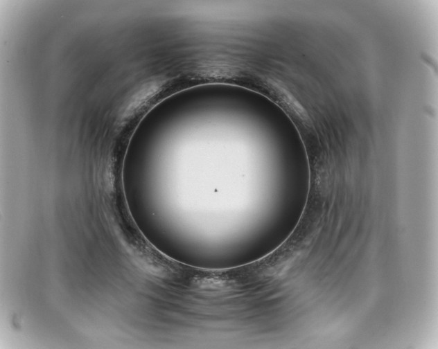 X0000099430635200805091251