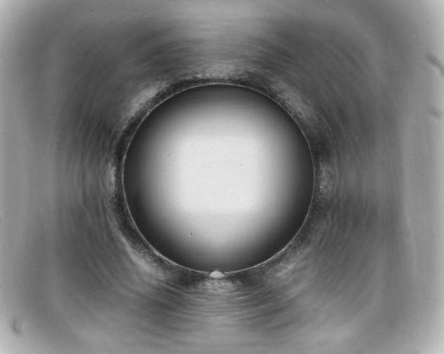 X0000099430636200805091251