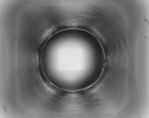 X0000099430638200805091251