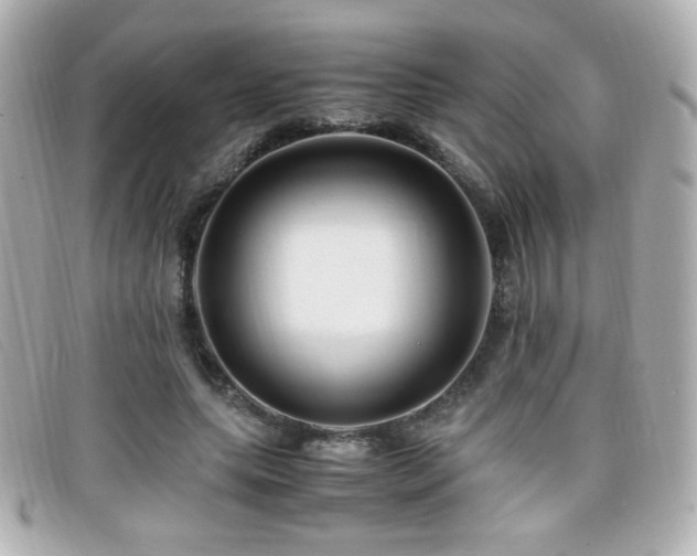 X0000099430639200805091251