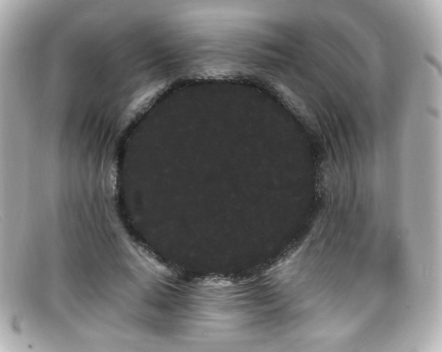X0000099430640200805091251